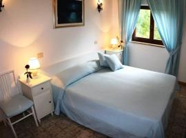 Hotel Vinicio，位于安塞多尼亚的酒店