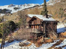 Mazot de l' Arche de Noé，位于韦尔比耶的酒店