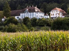 Château de Marnand - Duplex à la ferme，位于Granges-près-Marnand的酒店