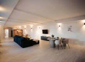 barrierefreies Loft Apartment am Bauhaus Museum