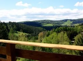 Apartament Zielony Widok - noclegi Bieszczady.