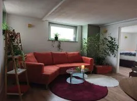 statt HOTEL - Frisch, Frech und Farbenfroh - Helle Souterrainwohnung