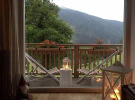 Dolomiti di Brenta House 2，位于摩德纳迪-坎皮格里奥的酒店