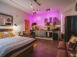 Luxury Industrial Studio，位于海丁利的酒店