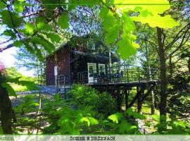 Domek Zielony Widok - noclegi Bieszczady，位于莱斯科的酒店