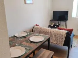 Cosy appartement calme et tout équipé idéal seul ou en couple