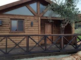 橄榄园度假酒店，位于安法赫的酒店