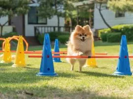 Pocheon luxjay pet Pension