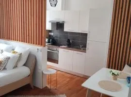 Magnifique appartement de standing climatisé lumineux