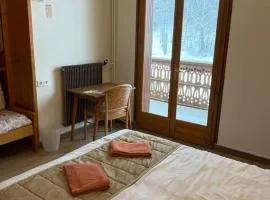 Logement chaleureux au pied des pistes de Lamoura