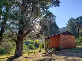 CABINS & CARAVAN at Old Mill Drift Guest Farm