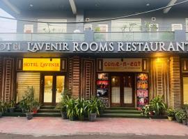 Hotel LAVENIR，位于罗塔克的酒店