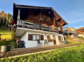 Ferienwohnungen im Blockhaus Metzler，位于施瓦岑贝格的酒店