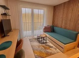 Apartmán nad Dolným Kubínom