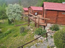 Cabañas BALCONES DEL PORTEZUELO - Mendoza，位于波特雷里约斯的酒店