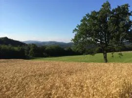 I Calleri Garden and Rooms