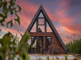 A-frame Dor De Aer，位于Herneacova的酒店