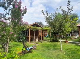 Tiny houses Genacvale，位于马尔特维利的宠物友好酒店