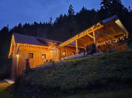 Vista Larix Chalet，位于Ljubno的木屋