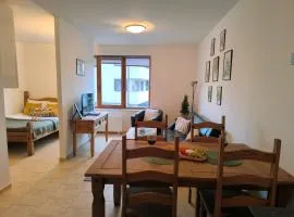 Pine`s Lodge , private Wi-FI