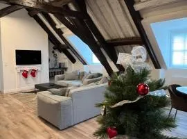 Le Laurencin Sens - Le Family - Cœur de ville