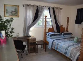 Miami Drip Star Life Resort