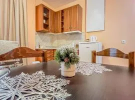 Fireplace Apartment near Bus & Train Station