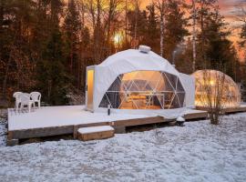 Bubble House glamping tent Odulemma，位于Odulemma的酒店