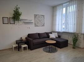 Prenočišča Dany APARTMA 2，位于Dravograd的酒店