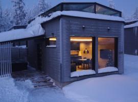 Levi Lapland Luxury Igloos D，位于列维的酒店