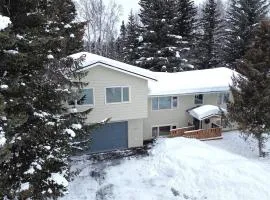 New-Game Room-Nearby Lake-Airport-Family-Bear Haus