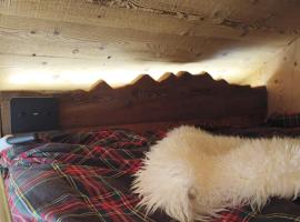 De Schoof, Mini-chalet walser avec une vue époustouflante，位于阿兰尼亚·瓦尔塞西娅的酒店