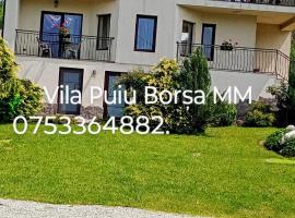 Vila Puiu Borsa MM，位于博尔沙的酒店