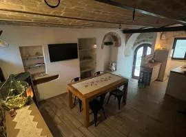 MiniMaja, il tuo rifugio lontano dal caos