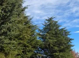 Quinta Rural - Nossa Sra do Carmo. Teixoso