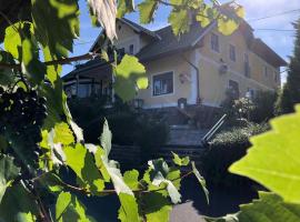 Gasthof Safran，位于Eibiswald的酒店