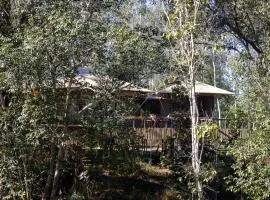 Saja and Sal The Tents