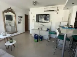 Jardines del Libertador San Juan