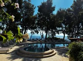 Evripidis Hotel Afitos