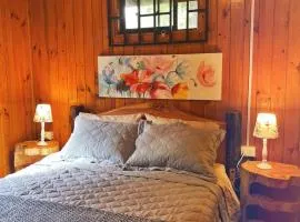 Refugio araucano - Lican Ray