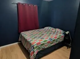 Private Room In Central Hamilton 2