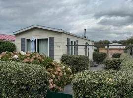 Chalet Sea Shell - Near the Beach in Petten
