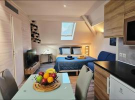 Loft cosy au bord du lac d'Annecy Plage & Parking privés，位于杜约特的酒店