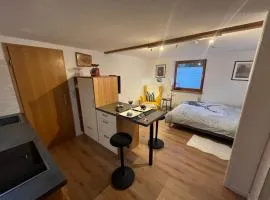 Schwarzwald-Nest Lenzkirch