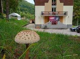 Horský Hotel Magura
