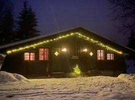 Newly renovated cabin near Ål city center, mountains & ski resort