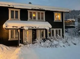 2 mannsbolig i Hemsedal sentrum - 3 soverom og 7 sengeplasser