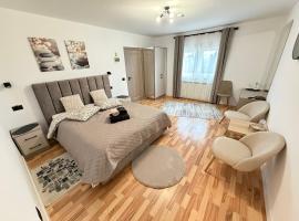 Cameră dublă Suceava，位于Ipoteşti的酒店