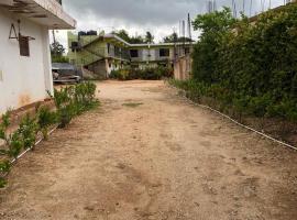 Hotel Ryluc，位于佩德纳莱斯的酒店