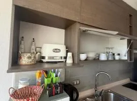 Vista Urbana y Laguna Concepción